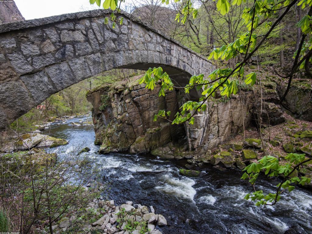 រឿងឈ្នះពិតប្រាកដដែលបង្ហាញពីមនុស្សវ័យក្មេងដែលបានចាប់ផ្តើមប្រកួតប្រជែង