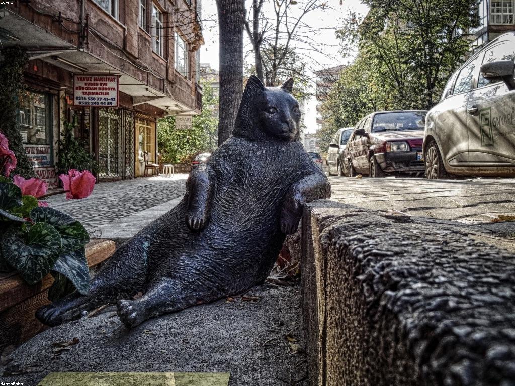 រឿងឈ្នះពិតប្រាកដដែលបង្ហាញពីការប្រឈមមុខនឹងការលំបាក